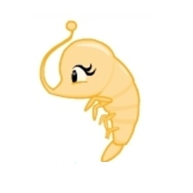 Lil Yellow Shrimp